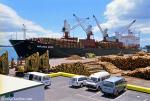 ID 224 MIRANDA ROSE (1984/26257grt/IMO 8307973, ex-WESTERN TEAM) loading logs at the Port of Tauranga, New Zealand.